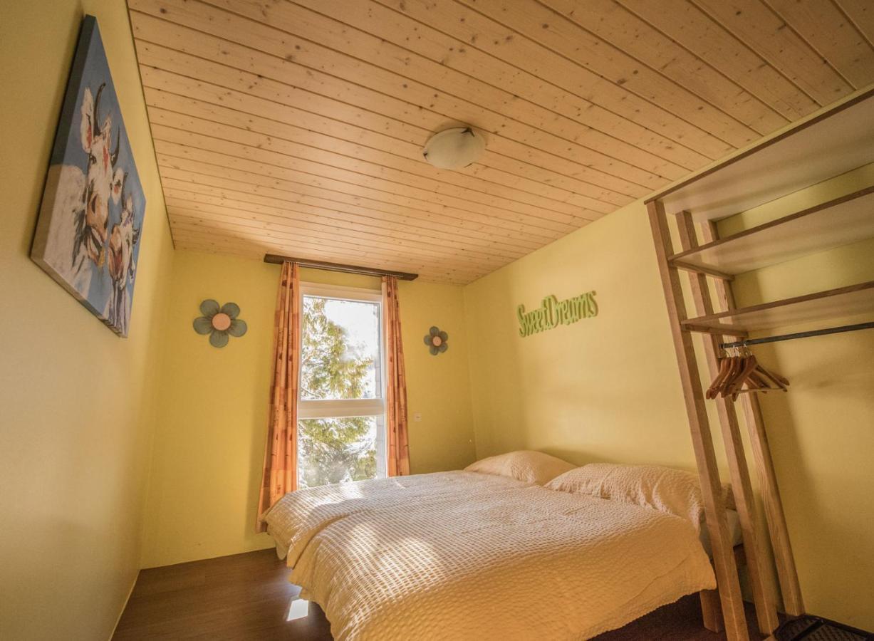 Schutzenbach Backpackers For Adults 18-35 Vandrarhem Lauterbrunnen Exteriör bild