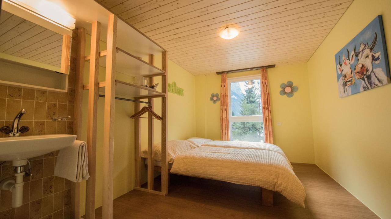 Schutzenbach Backpackers For Adults 18-35 Vandrarhem Lauterbrunnen Exteriör bild